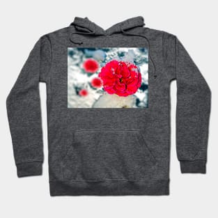 Snowy Red Rose Flower Hoodie